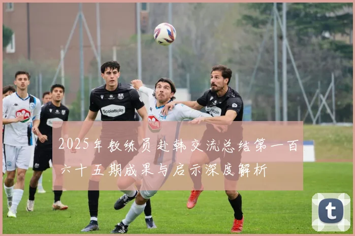2025年教练员赴韩交流总结第一百六十五期成果与启示深度解析