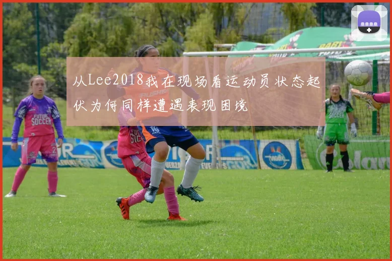 从Lee2018我在现场看运动员状态起伏为何同样遭遇表现困境